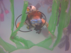 Scuba Camper diving through the "kelp forest" 