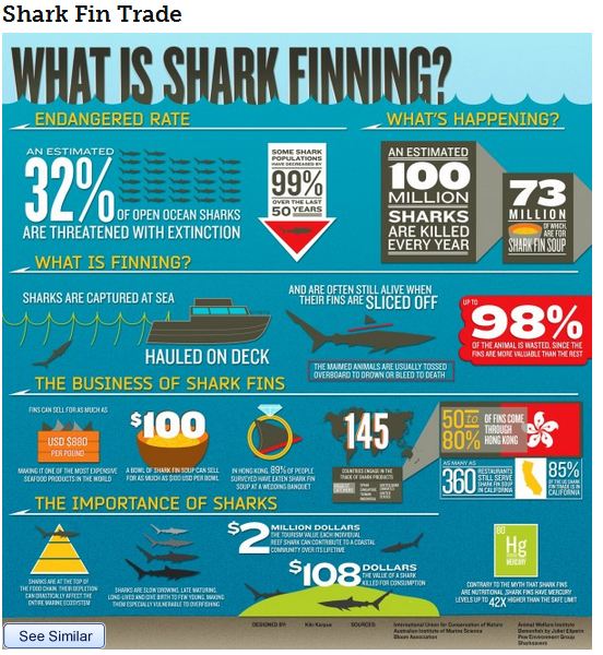 41 Intriguing Shark Finning Statistics 