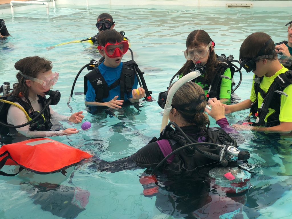 Kids Scuba Dive Summer Camp Video Our Awesome Scuba Rangers