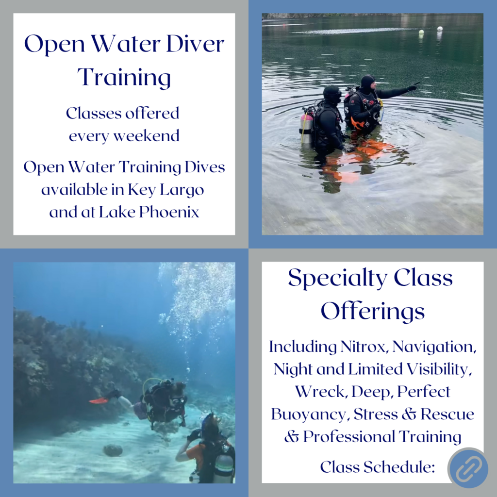Scuba Diving Classes