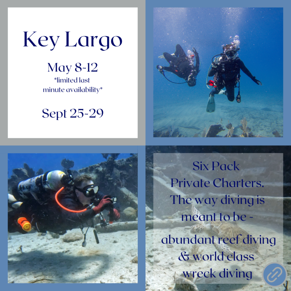 Key Largo scuba diving trip May 8-12