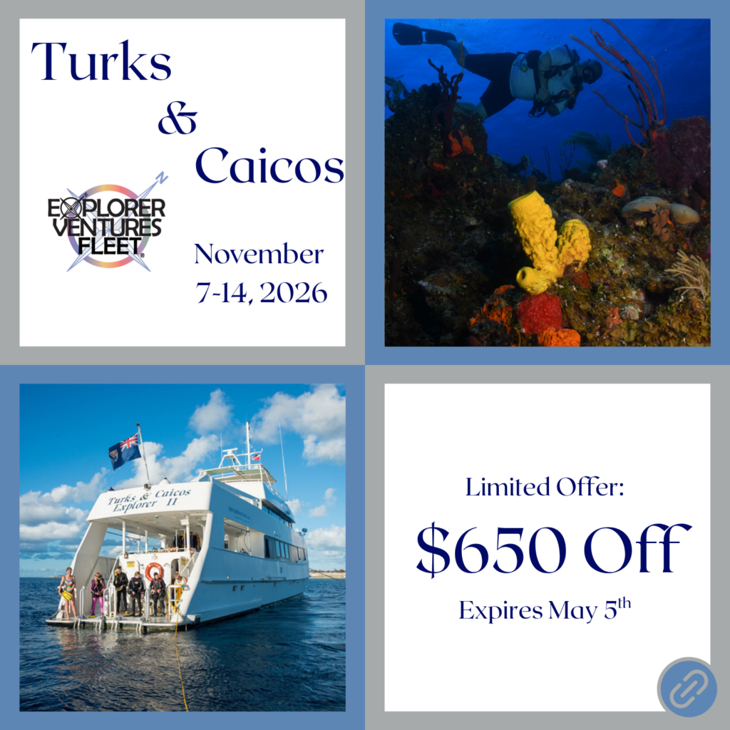 Turks & Caicos 